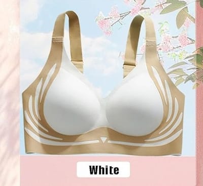 Premium Comfort Seamless Inner Wear_img_1