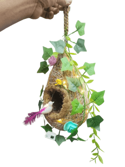 Love Birds Nest_img_1